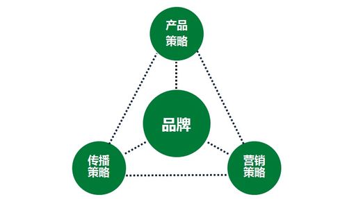 一家傳統(tǒng)企業(yè)的互聯(lián)網(wǎng)轉(zhuǎn)型之路丨國人在線 軟件服務(wù)